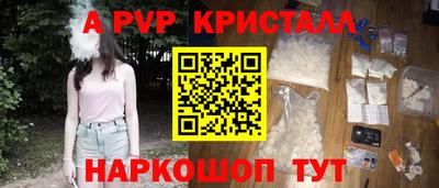 гашик Будённовск