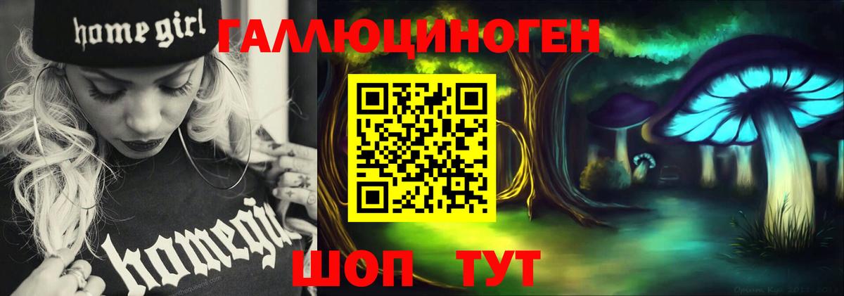 Псилоцибиновые грибы Psilocybine cubensis Обнинск